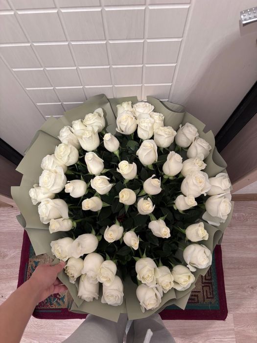 51 роза , жаңа келген 25000