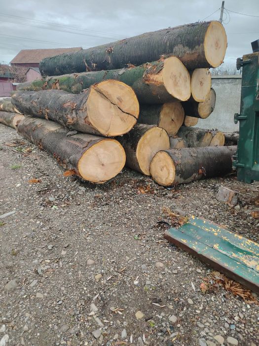 Lemne de foc esențe tari