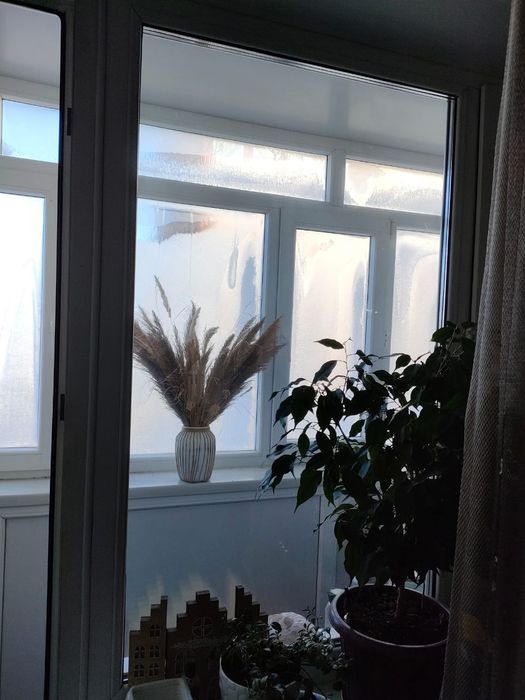 Двухкомнатная по Анаркулова