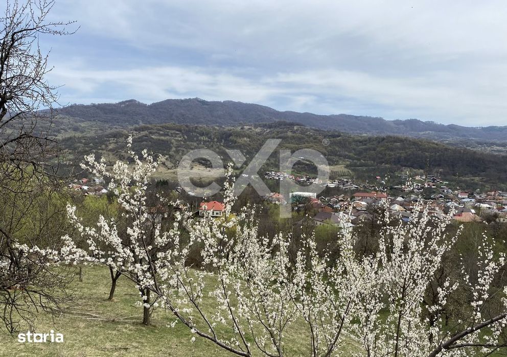 Oportunitate investitie in Corbi, Arges | 22.000 mp teren in zona de