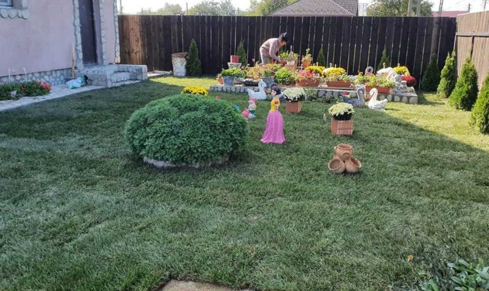 Sisteme de Irigare si Gazon Rulou