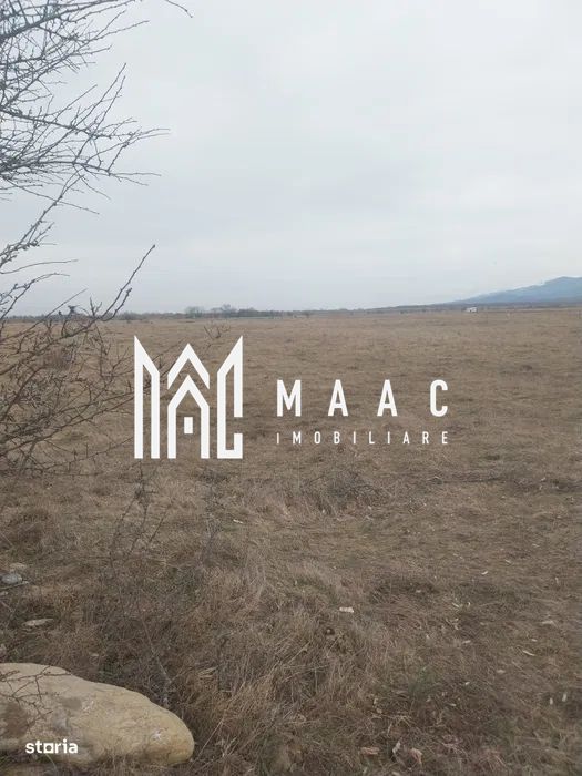 Teren intravilan I Valea Avrigului I 5000 mp