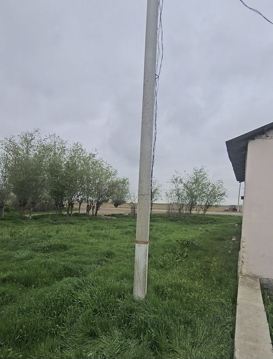 Тошкент вилояти Бука туманида ховли сотилади