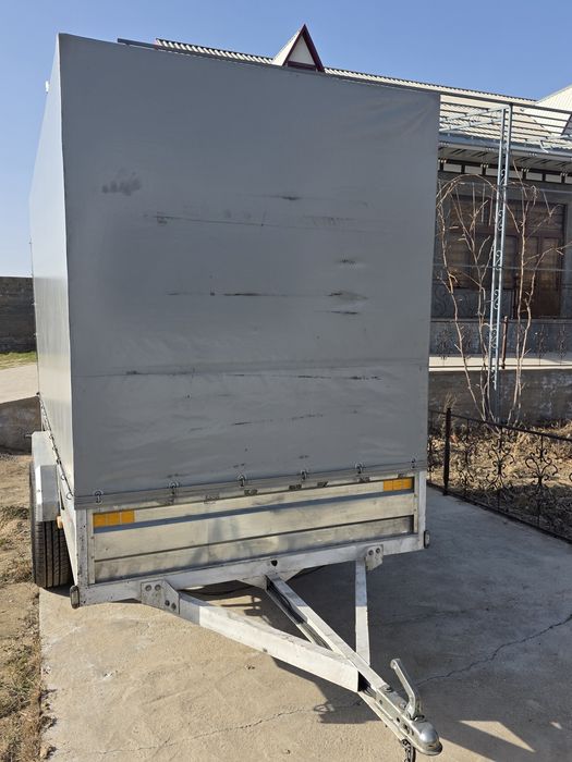 Тличка, притсеп, 2025 йил