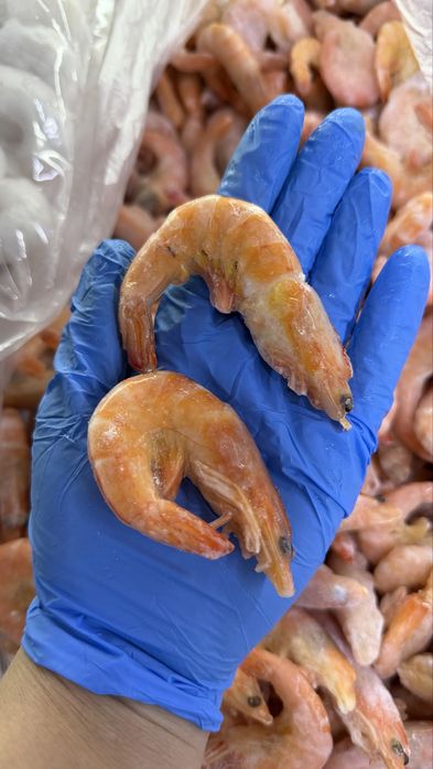 Креветка королевская