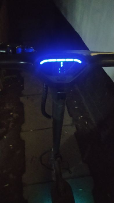 Моляр, Костоправ