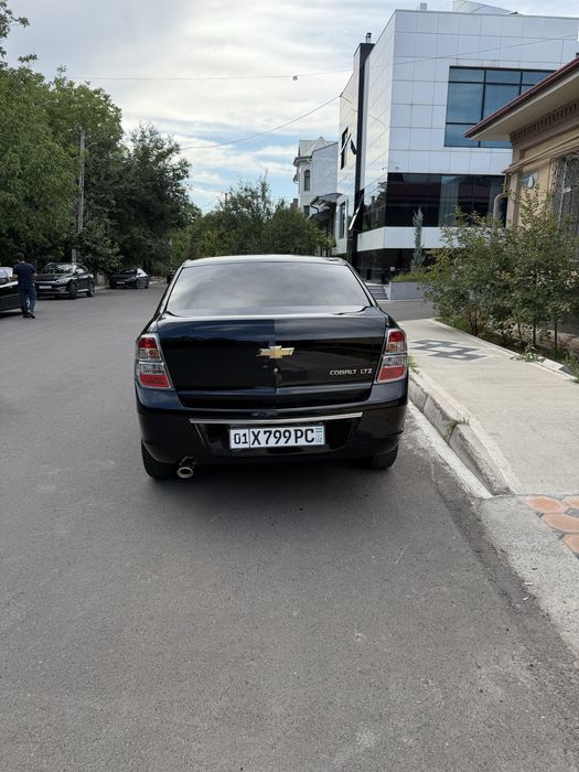 Kobild 2025 yil 3000 km yurgan midnayd