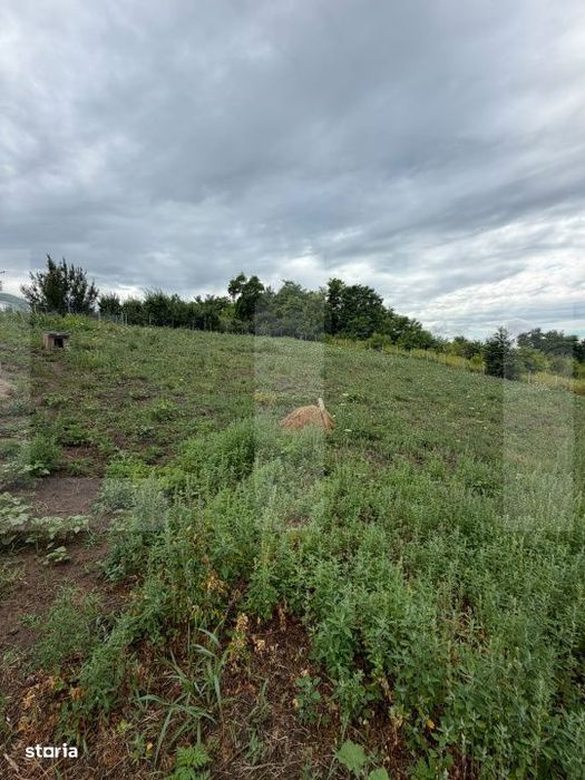 Teren intravilan, Dorohoi, 1532 mp, in apropiere de Gradina de Vara