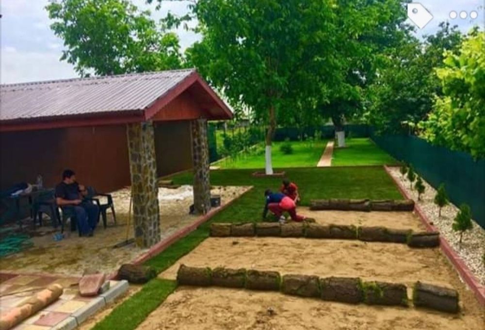 Gazon rulou peluză. 24 de lei m2. Transport și montaj inclus în preț.