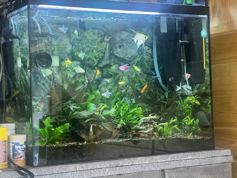 Vand acvariu 80 L complet