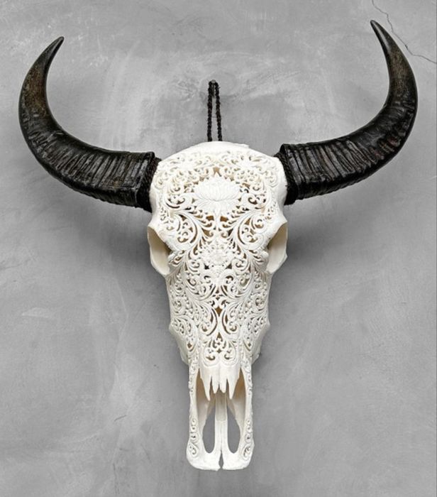 Vand craniu bivol sau vaca sculptate in Indonezia