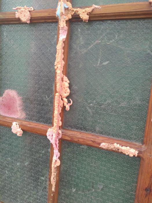 Три броя таблени врати. Цената е за трите