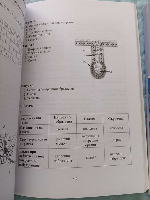 Тестове по Биология за кандидат-студенти