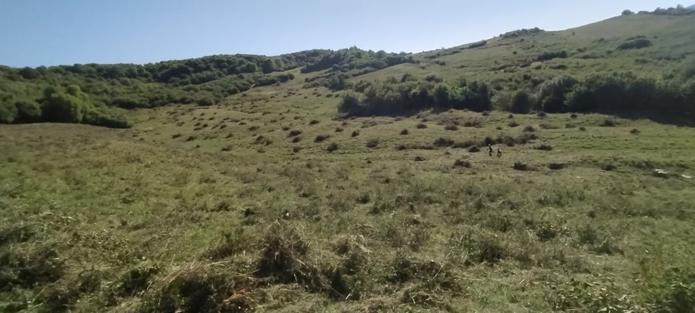 Curăț pașuni livezi manual ne deplasăm ori unde în țară negociere