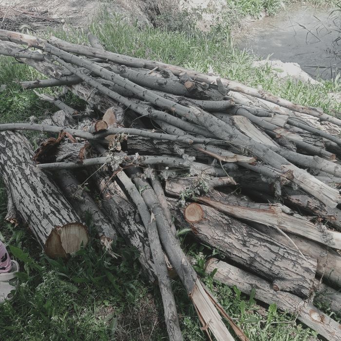 Срочно продам дрова