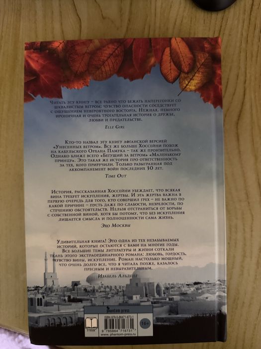 книга «Бегущий за ветром»