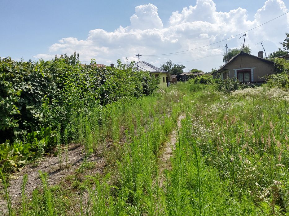 Vînzare teren ,2500 de metri pătrați