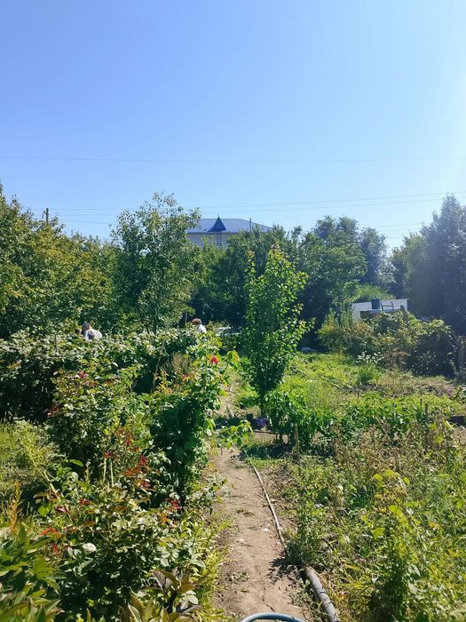 Продаю дачу 7 соток