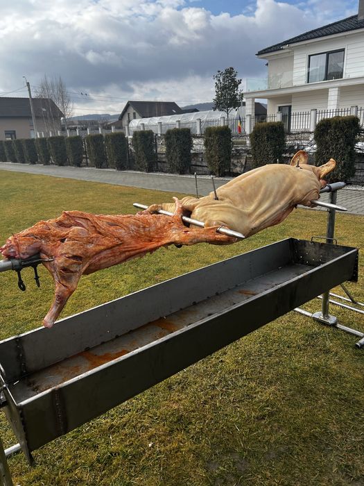 Inchiriez/pregatesc rotisor/protap