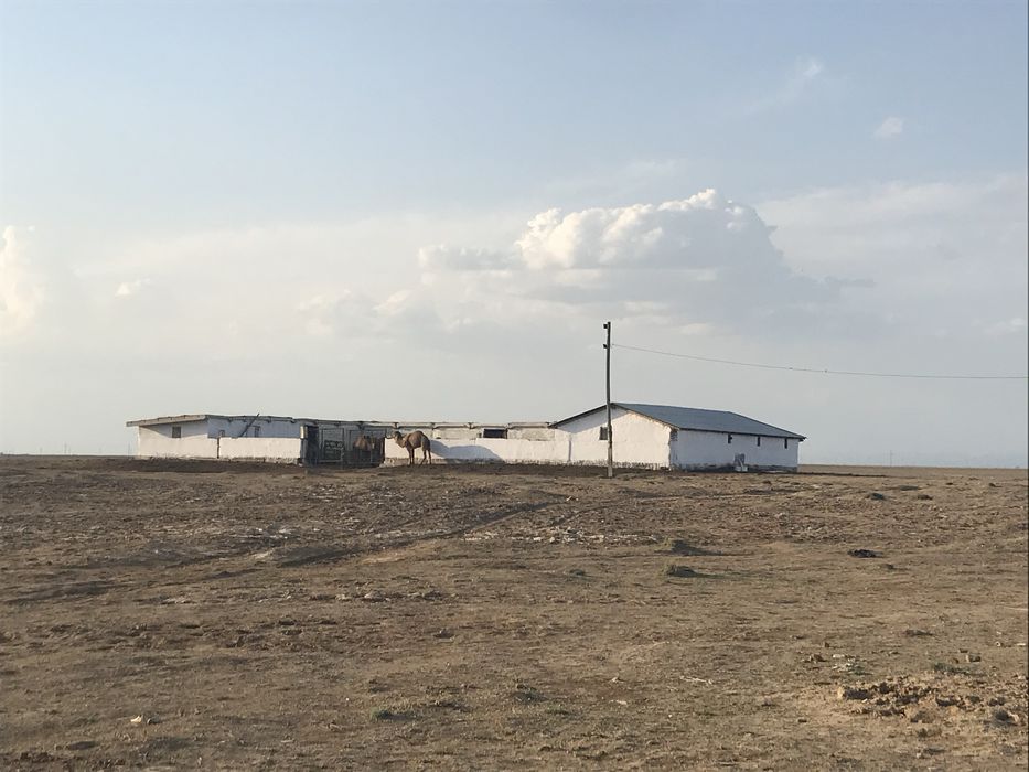 Қора мал кора фазенда бордақы