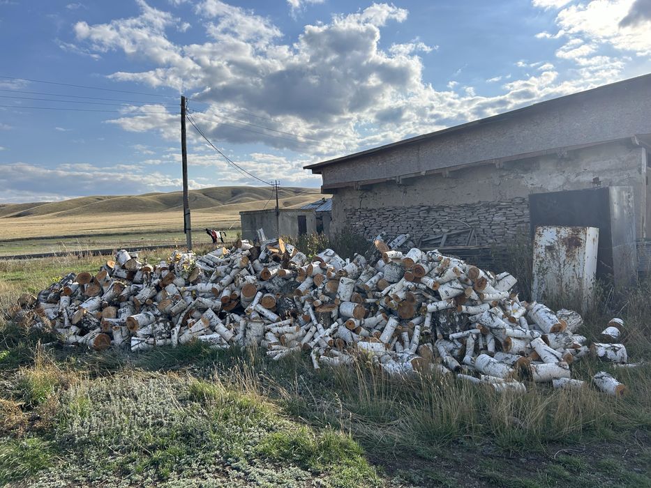 Продам дрова . Береза.