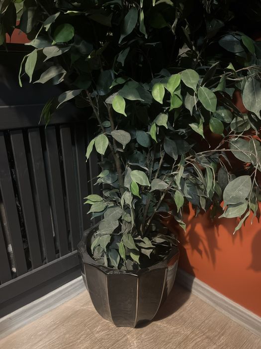 Вазоны керамические