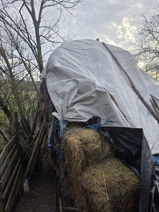 Baloți Fân / Ovăz