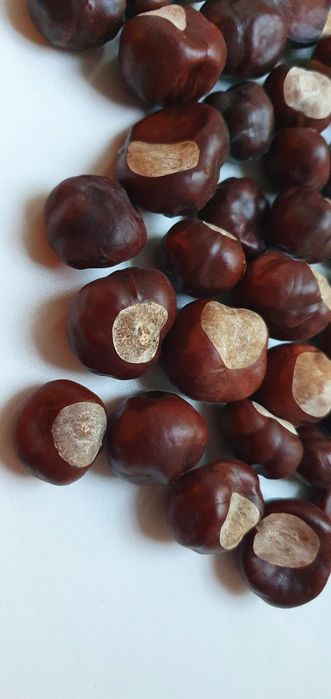 Продам красивую обувь