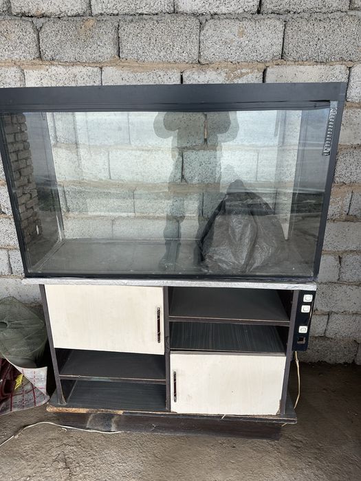 akvarium 250 litr holati yaxshi