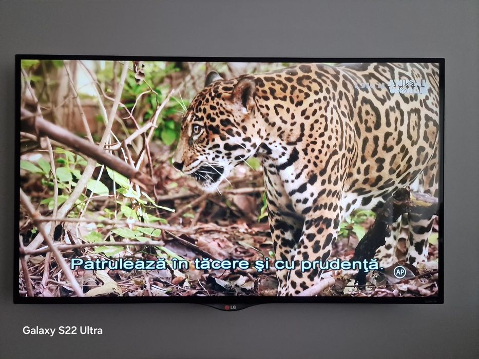 Televizor smart LG Ultra HD 42 inch