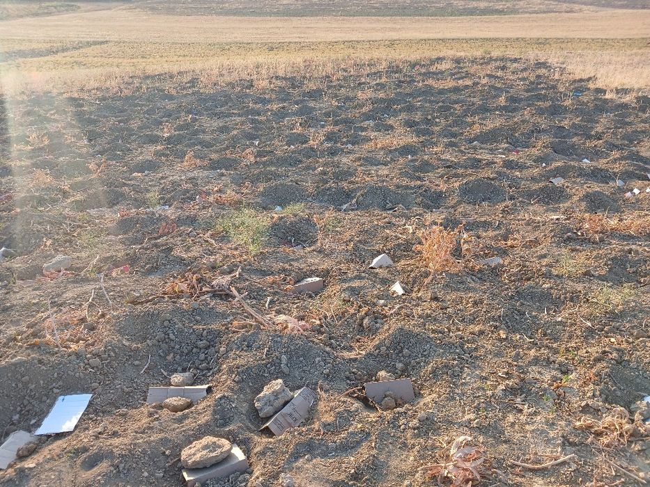 Ekib bergan ko‘chatlarimizga garantiya beramiz