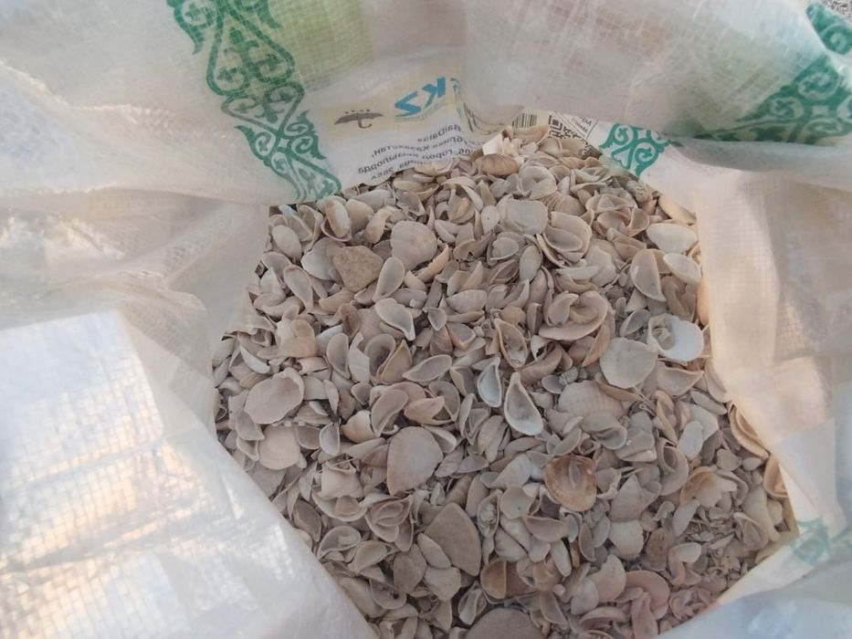 Ракушка кормовая