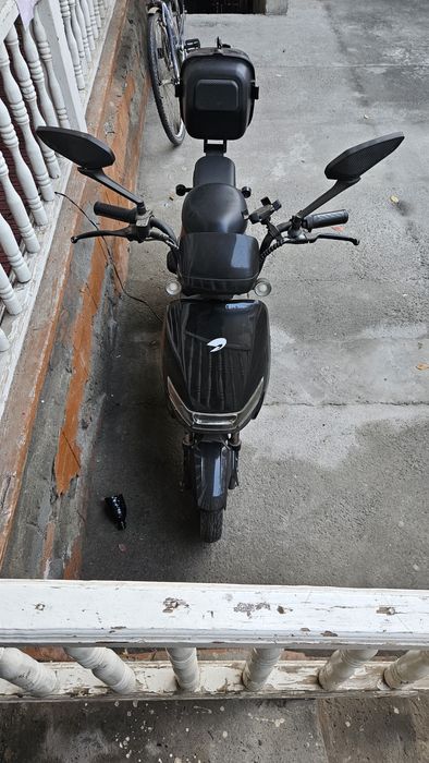 Drongo skuter xolati oʻrta