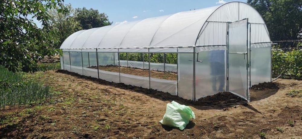 Solarii Rezistente  Baleni Sârbi