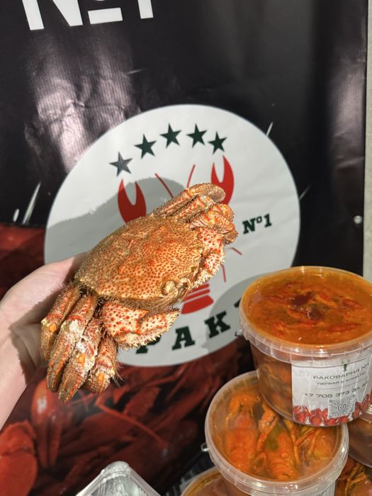 Лобстеры крабы раки креветки