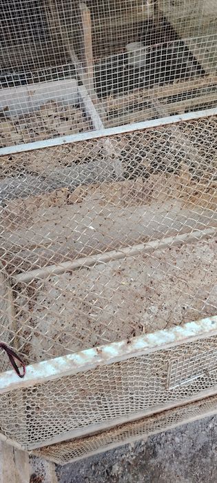 Жужа, Куён,Бедана или Кушга 2 этажли домик 1,20/1м/60см домик