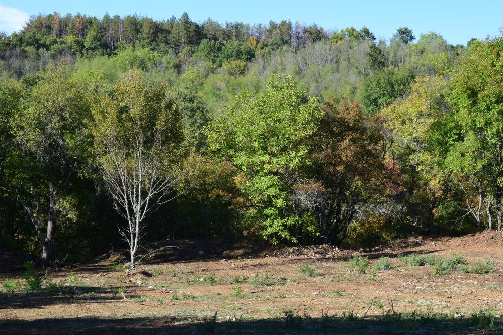 Парцели-Вилна зона 7-ми километър