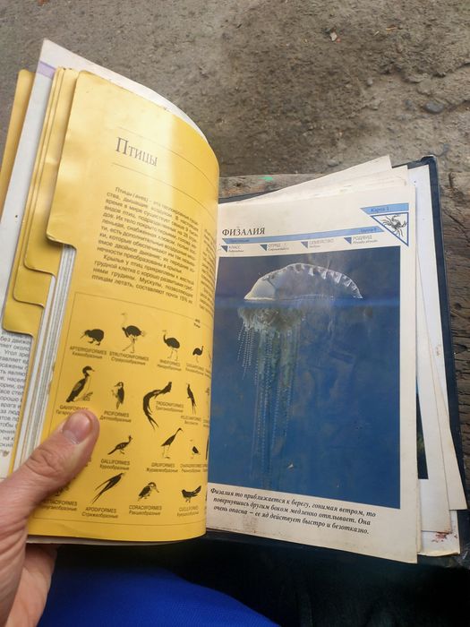 Продам журнал про животных