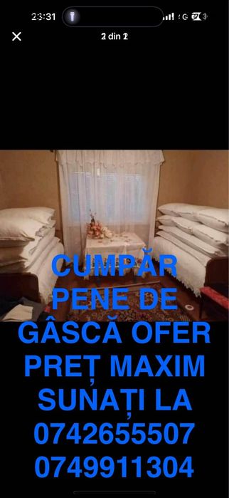 Achiziție de pene de gasca