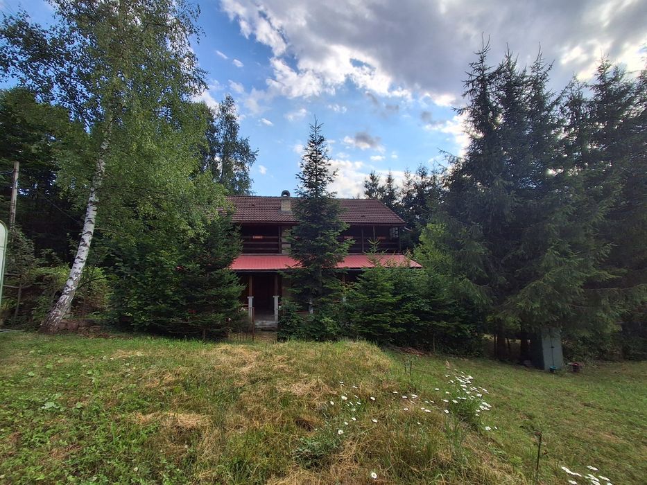 Vand casa de vacanta P+1 Valiug - Crivaia