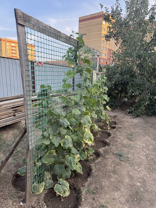 Продам или обменяю дом