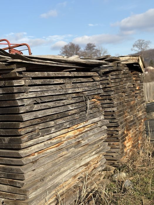 Scândură de Stejar