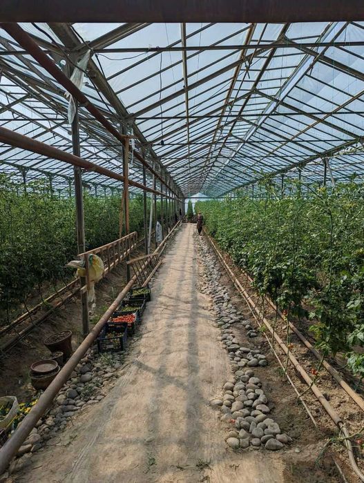 Птицеферма, пруд, теплица продается 5 га, все коммуникации Урта Чирчик