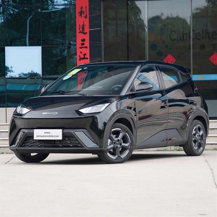 Byd seagull 2023 yil