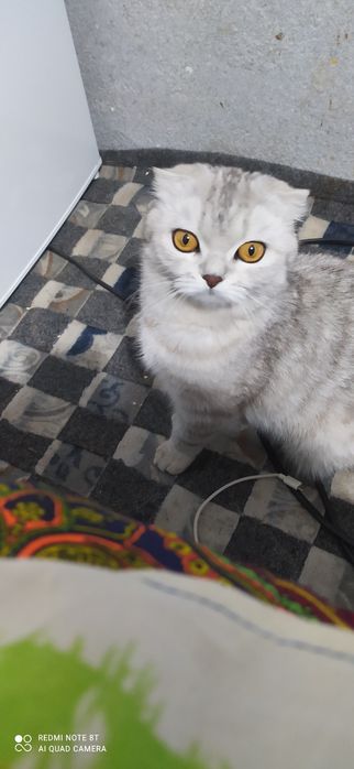 Mariana Diarkoning yalangoch fotosuratlari