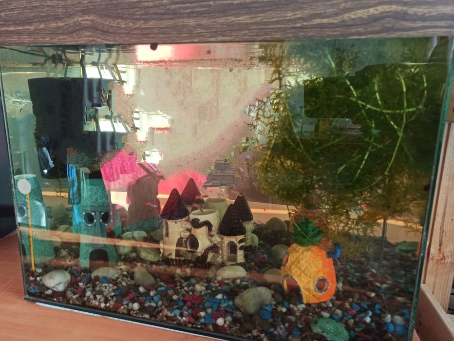 Продаю аквариум 60 л.
