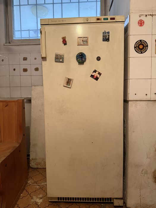 фризер Snaigė 122