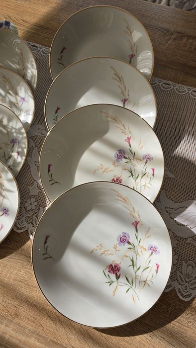 2 вида чинии Hutschenreuther