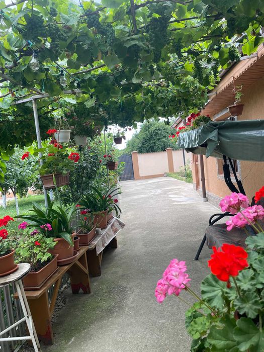 Casa de vanzare in Posta/Topliceni, judetul Buzau-4 camere, mobilata si utilata
