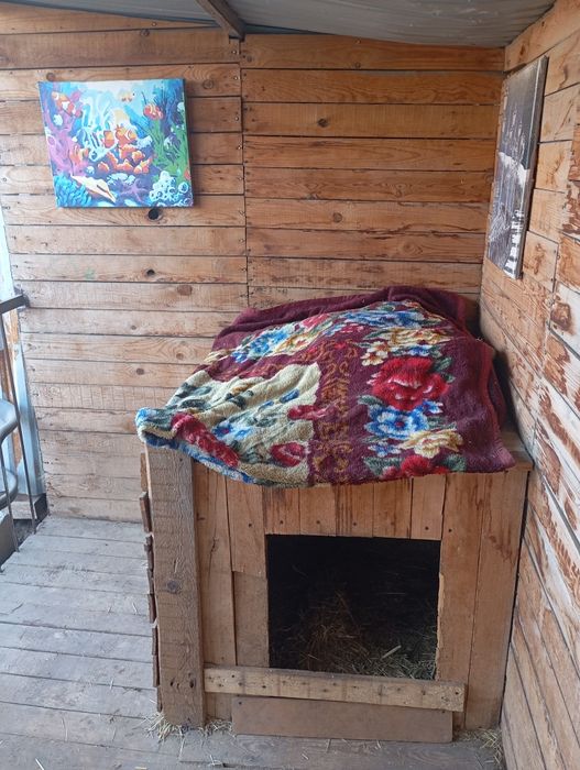 Продам вольер  для собаки